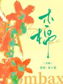 木棉花树图片